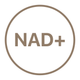 Aumenta los niveles de NAD+.